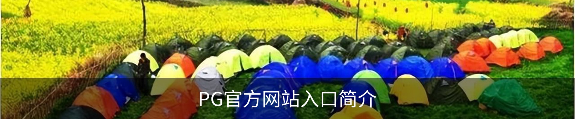 PG官方网站入口简介
